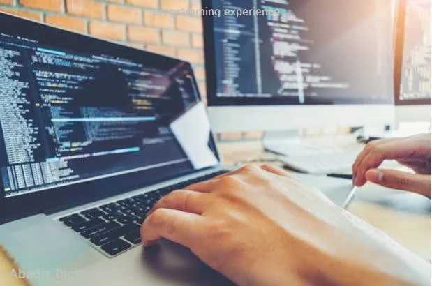 programming experience
